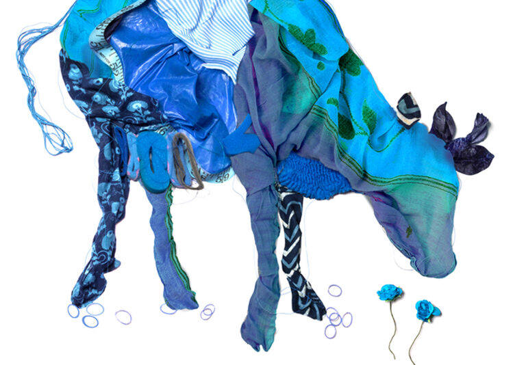 Our Incredible Cow